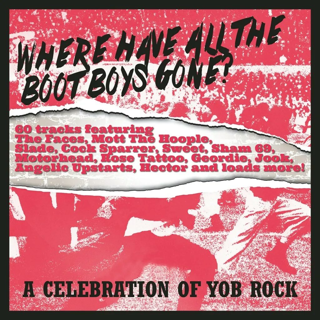 Album artwork for Where Have All The Bootboys Gone? A Celebration of Yob Rock by Various