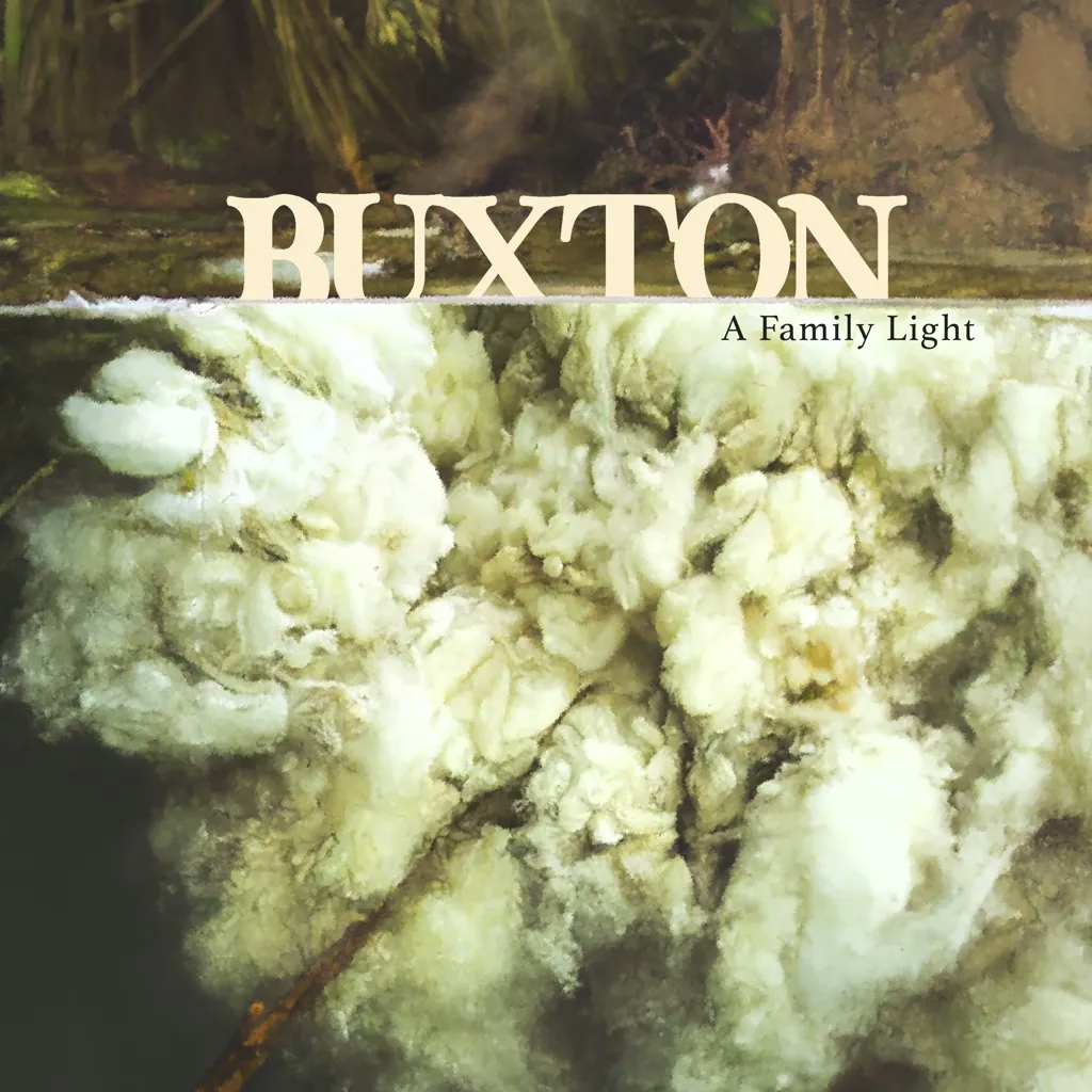 Album artwork for A Family Light by Buxton