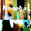 Album artwork for Animal Magic by Bonobo