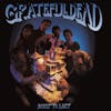 Album artwork for Built to Last by Grateful Dead