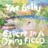 Album artwork for Expert In A Dying Field (Deluxe) by The Beths