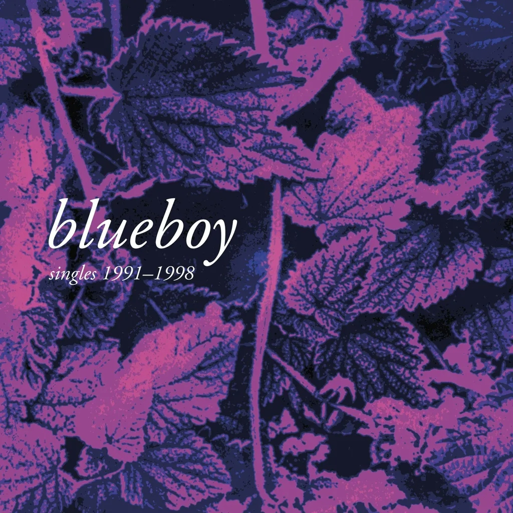 Album artwork for Singles 1991- 1998 by Blueboy