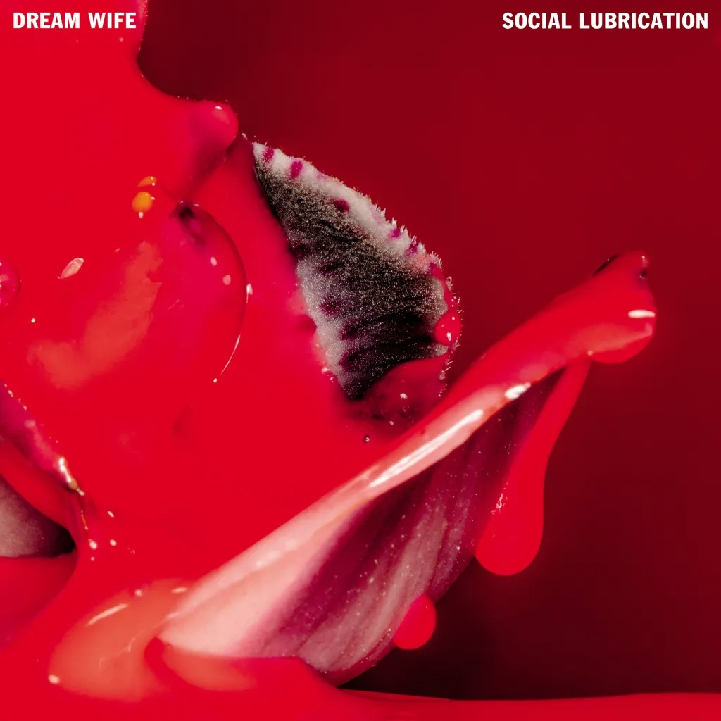 Album artwork for Social Lubrication by Dream Wife