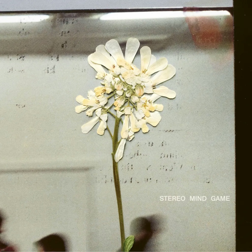 Album artwork for Stereo Mind Game by Daughter