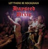 Album artwork for Let There Be Rockgrass - RSD 2024 by Hayseed Dixie