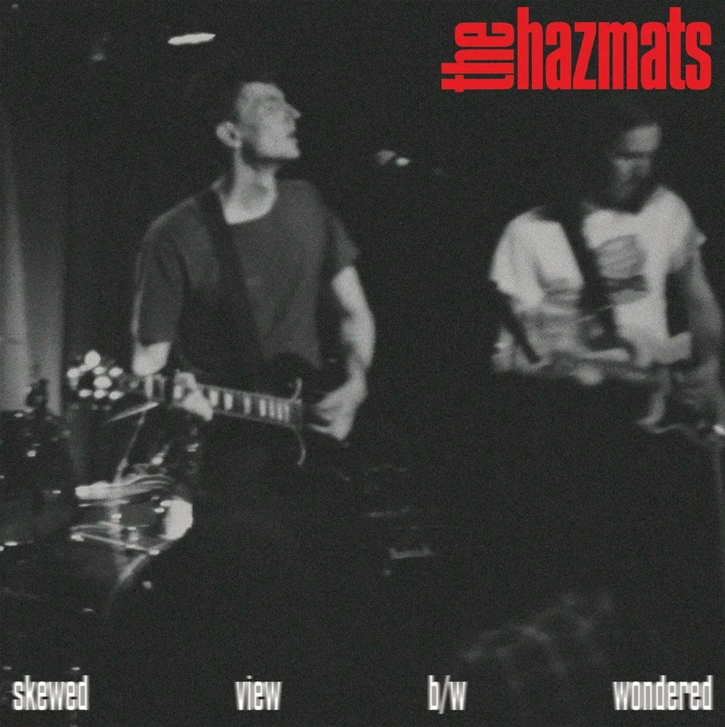 Album artwork for Skewed View by The Hazmats