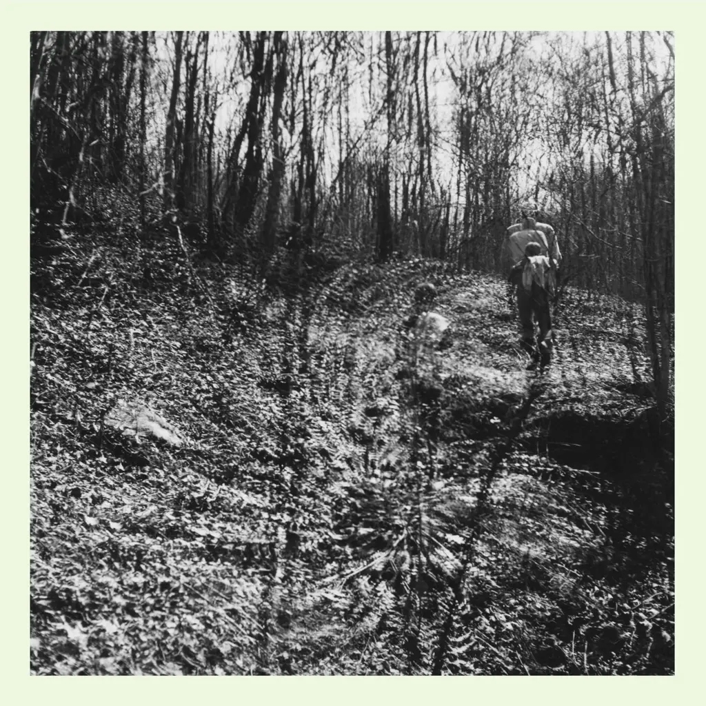 Album artwork for Interior Spring by  Topographies