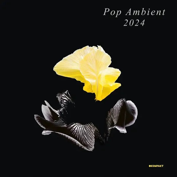 Album artwork for Pop Ambient 2024 by Various