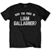 Album artwork for Who the Eff is Liam Gallagher by Liam Gallagher
