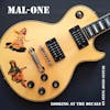 Album artwork for Looking at the Decals on Steve Jones Guitar by Mal-One
