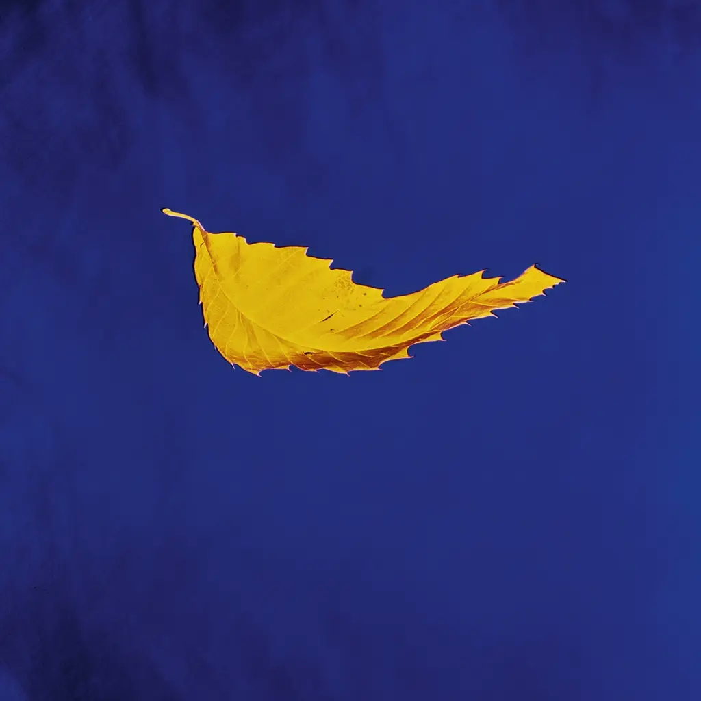 Album artwork for True Faith by New Order