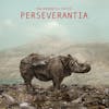 Album artwork for PERSEVERANTIA by Hackedepicciotto