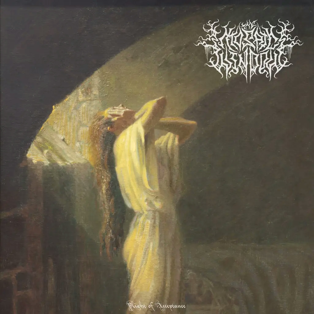Album artwork for Plight of Acceptance by The Mosaic Window
