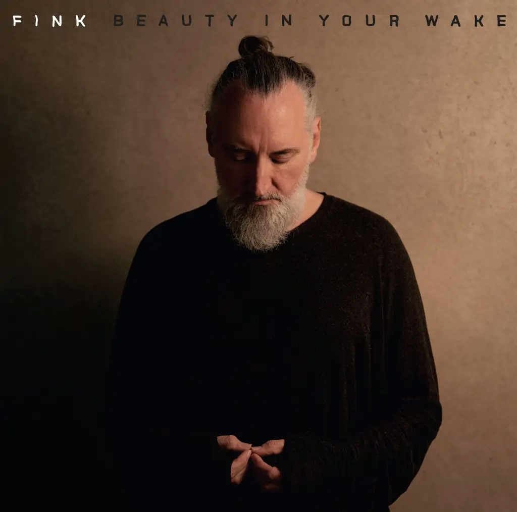 Album artwork for Beauty In Your Wake by Fink