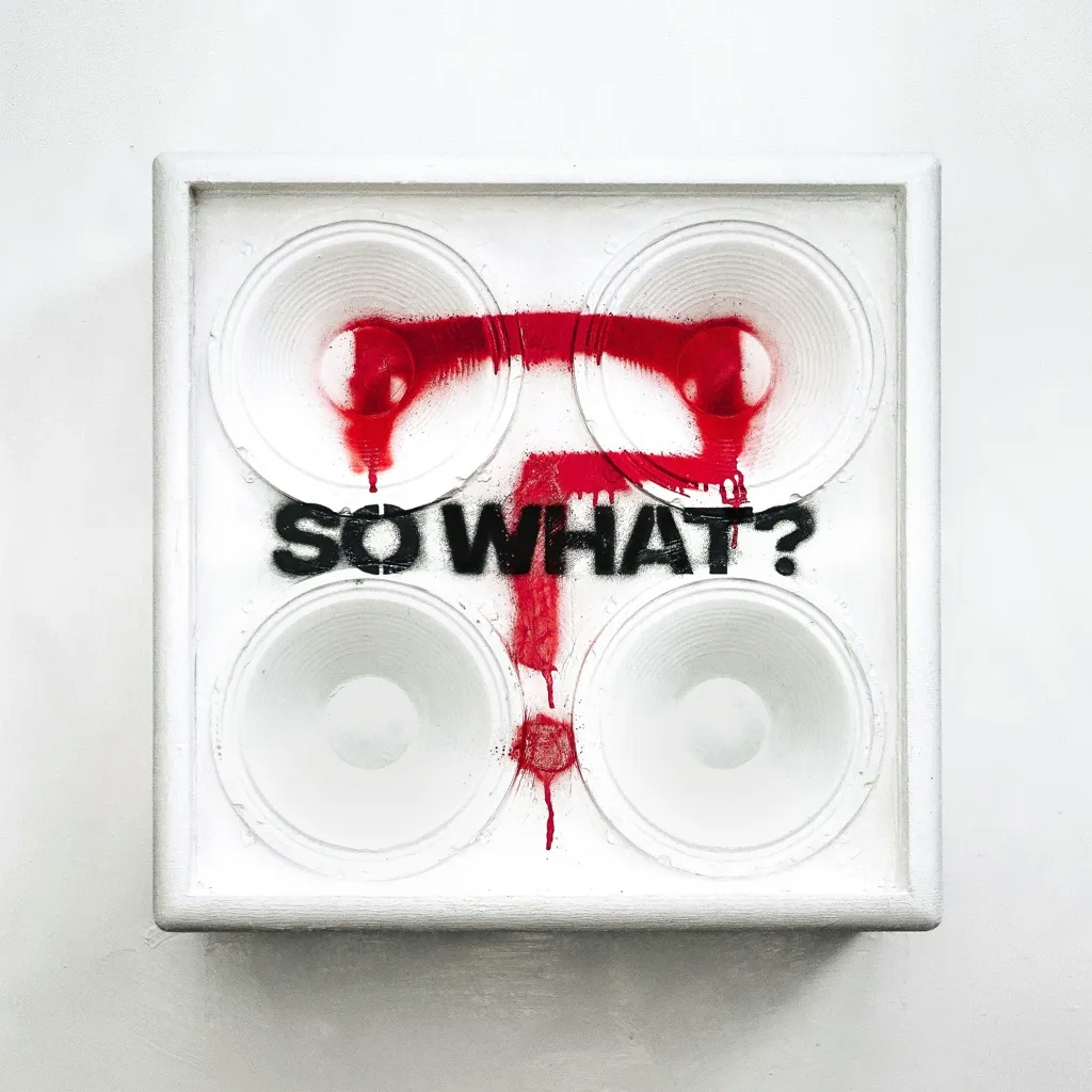 Album artwork for So What? by While She Sleeps