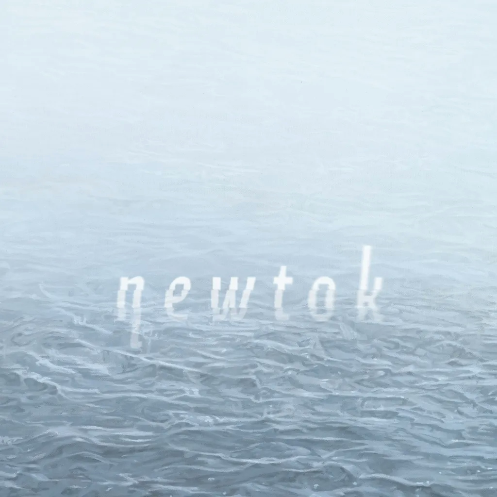 Album artwork for Newtok by Dusty Patches