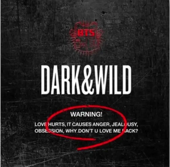 Album artwork for Dark & Wild by BTS