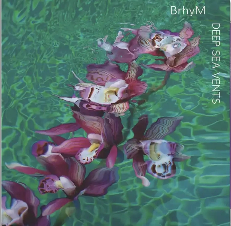 Album artwork for Deep Sea Vents by BryhM