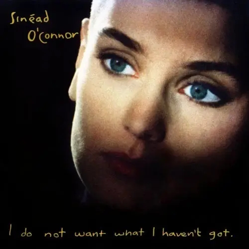 Album artwork for I Do Not Want What I Haven't Got by Sinead O'Connor