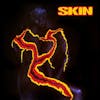 Album artwork for Skin - Collectors Edition by Skin