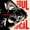 Album artwork for Soul Tropical by David Walters