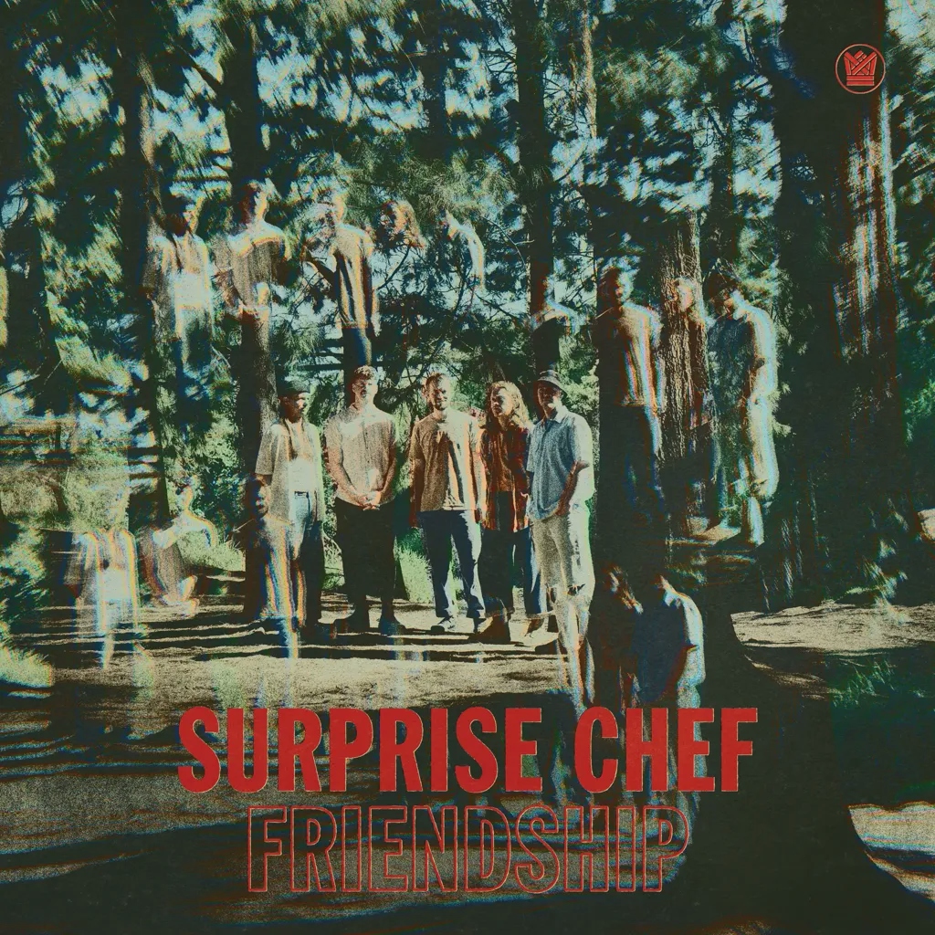 Album artwork for Friendship by Surprise Chef