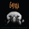 Album artwork for Terra Incognita by Gojira