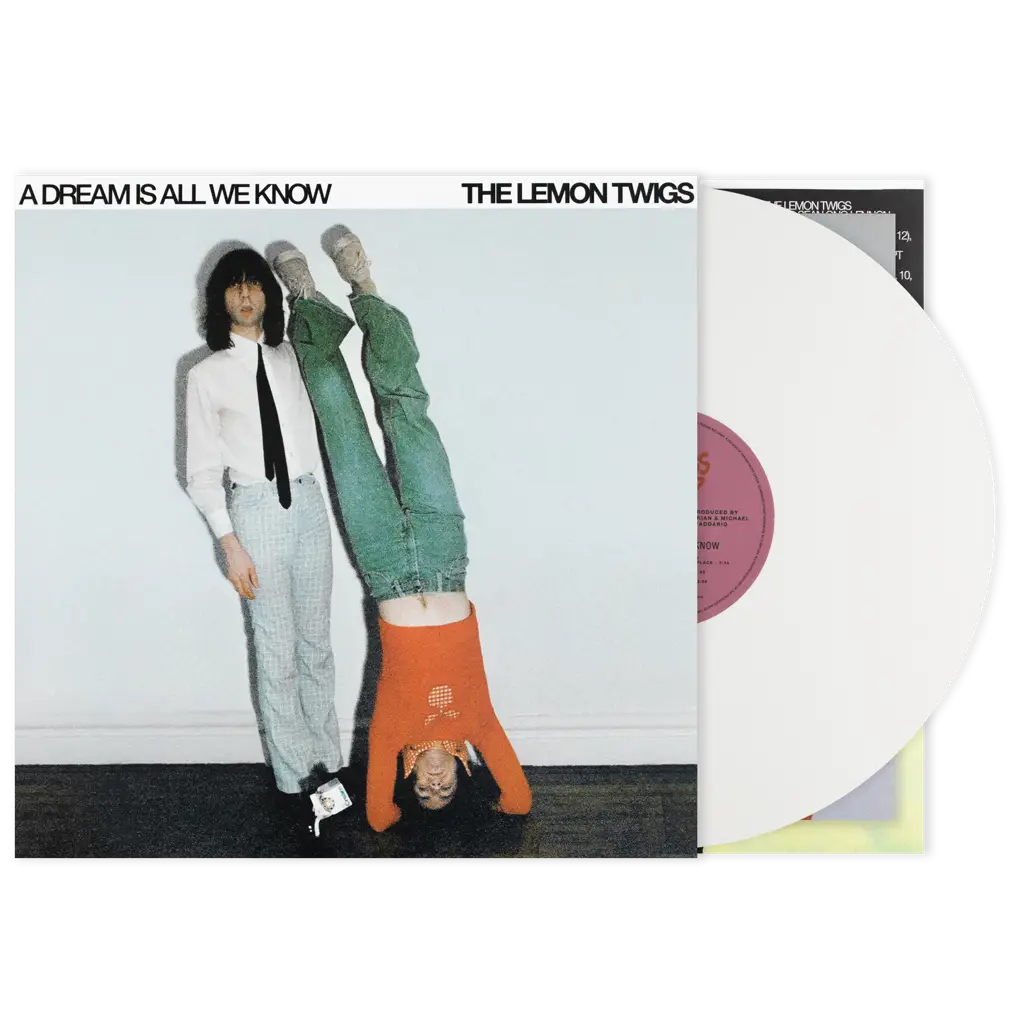 Album artwork for A Dream Is All We Know by The Lemon Twigs