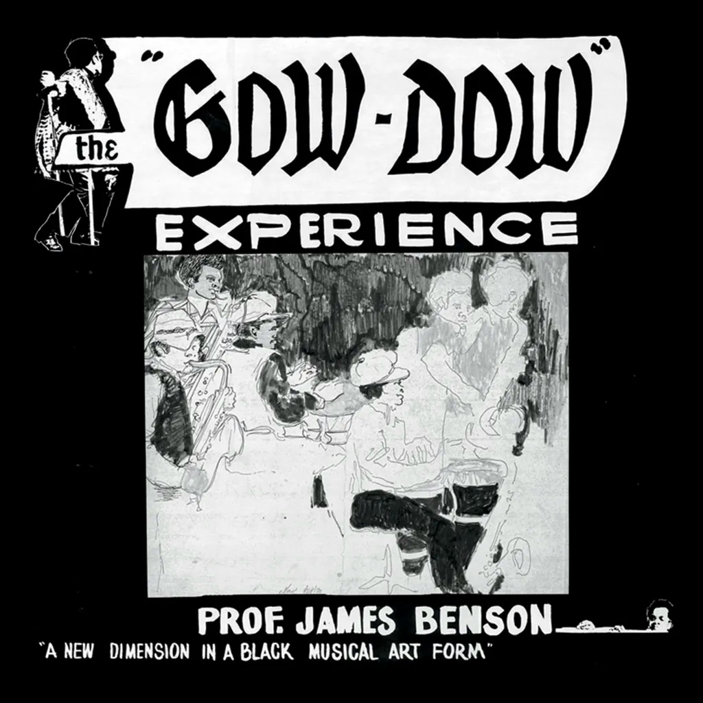 Album artwork for The Gow-Dow Experience by Prof James Benson