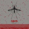Album artwork for Mosquito Control/The Red Sea by Isis