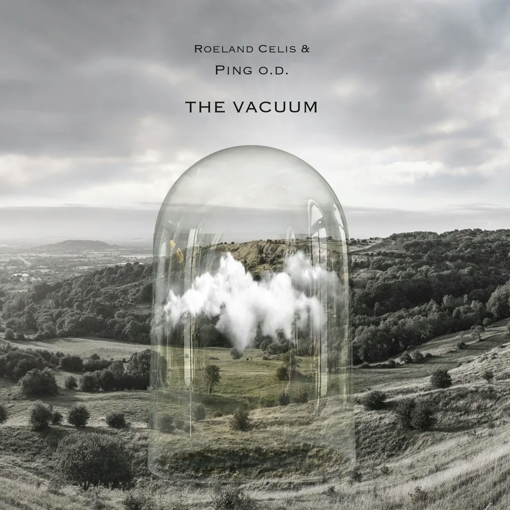 Album artwork for The Vacuum by Roeland Celis Ping OD