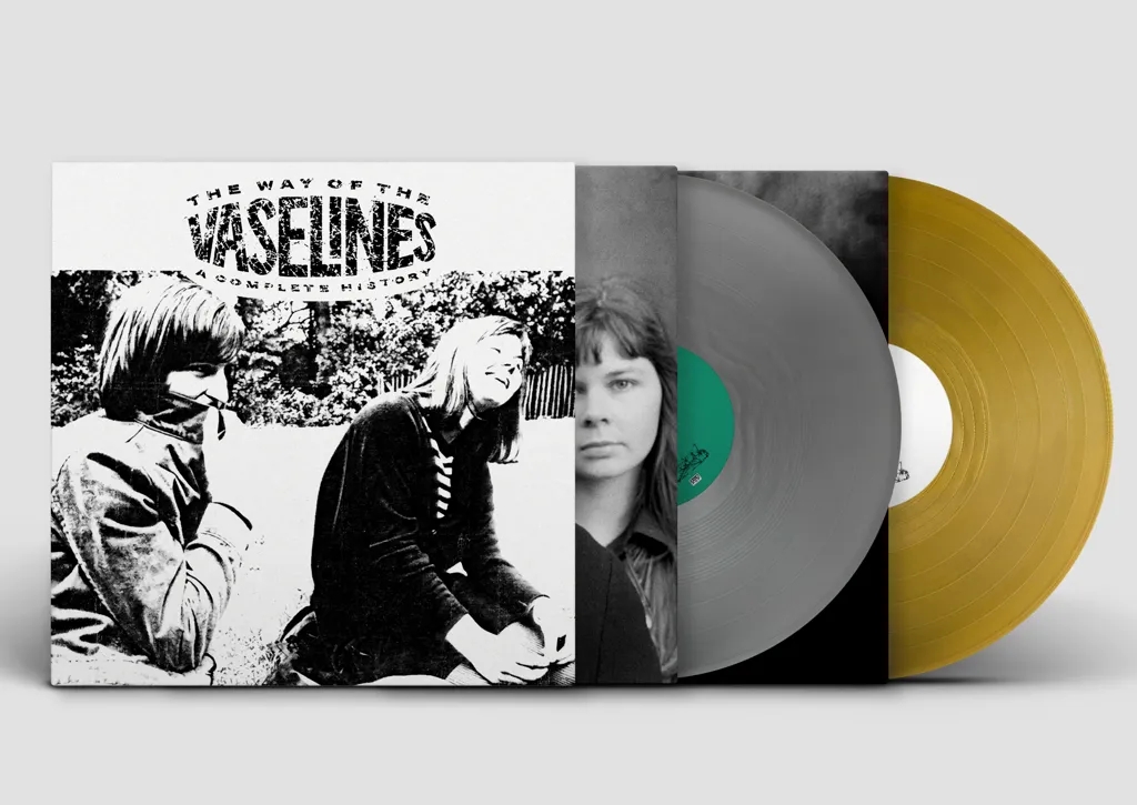 Album artwork for The Way of the Vaselines by The Vaselines