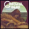 Album artwork for Wake of the Flood by Grateful Dead