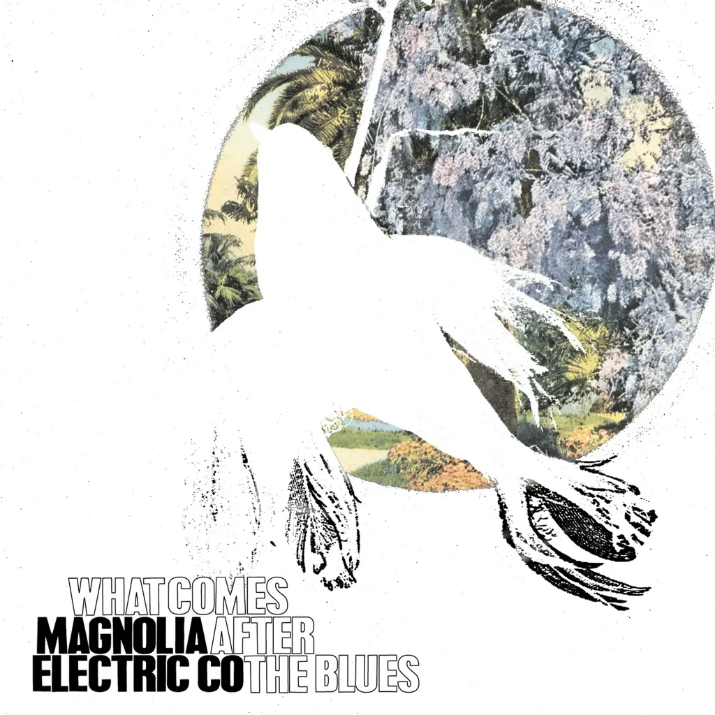 Album artwork for What Comes After The Blues by Magnolia Electric Co.