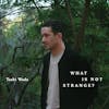 Album artwork for What Is Not Strange?  by Tashi Wada