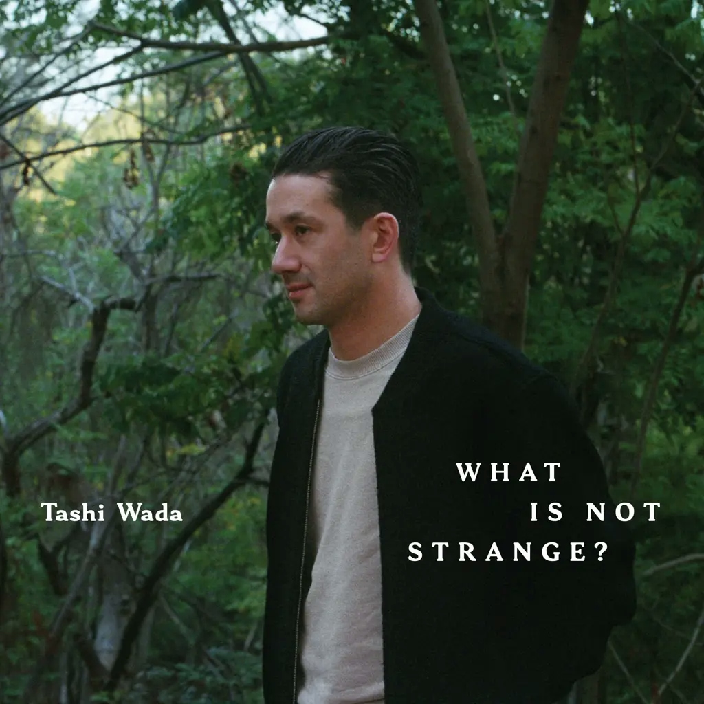 Album artwork for What Is Not Strange?  by Tashi Wada