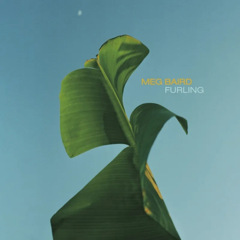Album artwork for Furling by Meg Baird