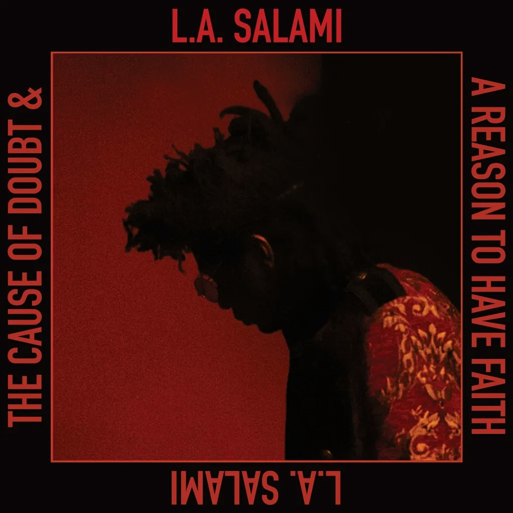 Album artwork for The Cause of Doubt and a Reason to Have Faith by LA Salami