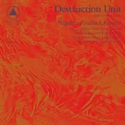 Album artwork for Negative Feedback Resistor by Destruction Unit