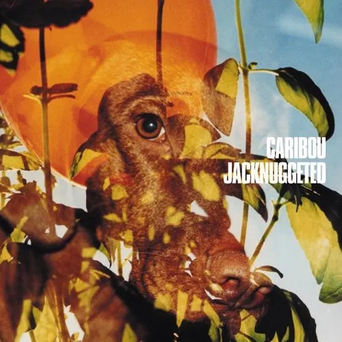 Album artwork for Jacknuggeted by Caribou