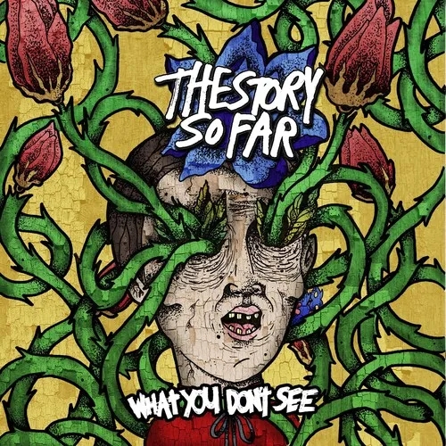 Album artwork for What You Don't See by The Story So Far