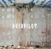 Album artwork for Already! by Bushpilot