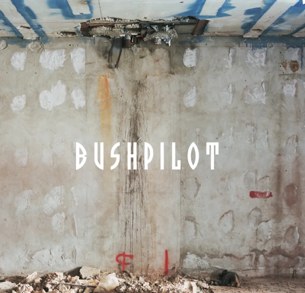 Album artwork for Already! by Bushpilot