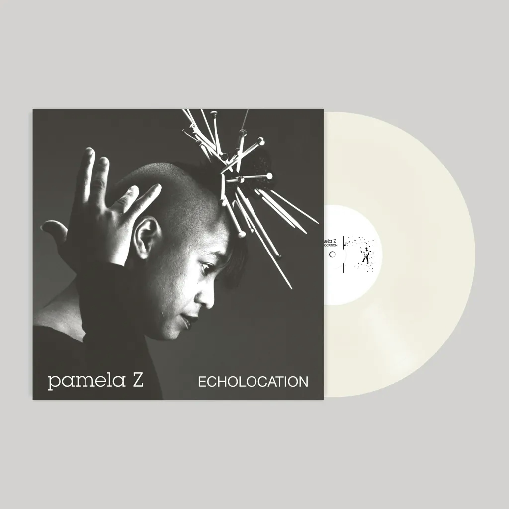 Album artwork for Echolocation by Pamela Z 