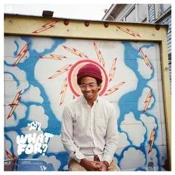 Album artwork for What For? by Toro Y Moi
