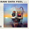 Album artwork for Raw Data Feel by Everything Everything