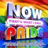 Album artwork for Now That's What I Call Pride by Various