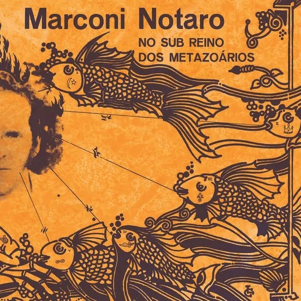 Album artwork for No Sub Reino dos Metazoarios by Marconi Notaro