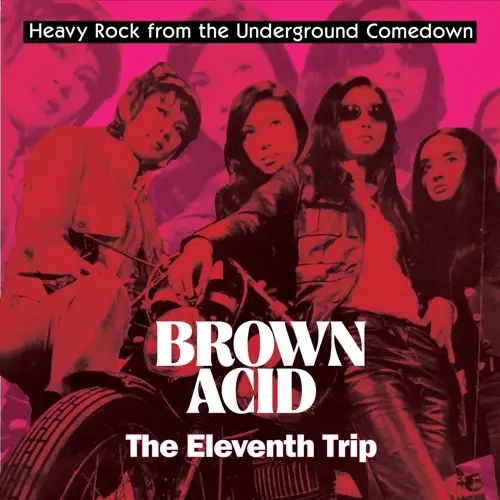 Album artwork for Brown Acid: The Eleventh Trip by Various Artists