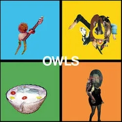 Album artwork for Owls by Owls